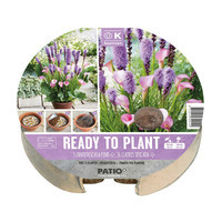 луковици за цветя