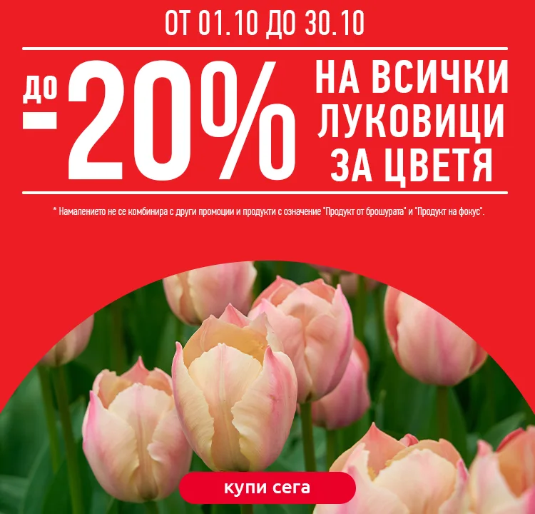 луковици_750х720.jpg луковици_750х720.jpg