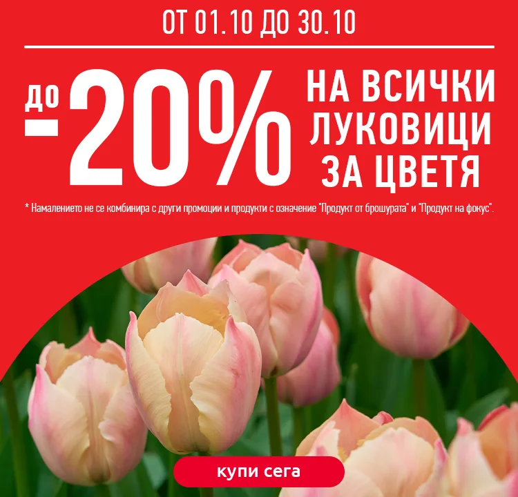 луковици_750х720.jpg луковици_750х720.jpg