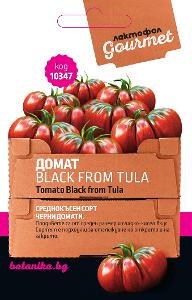 СЕМЕНА ДОМАТ BLACK FROM TULA 1ГР