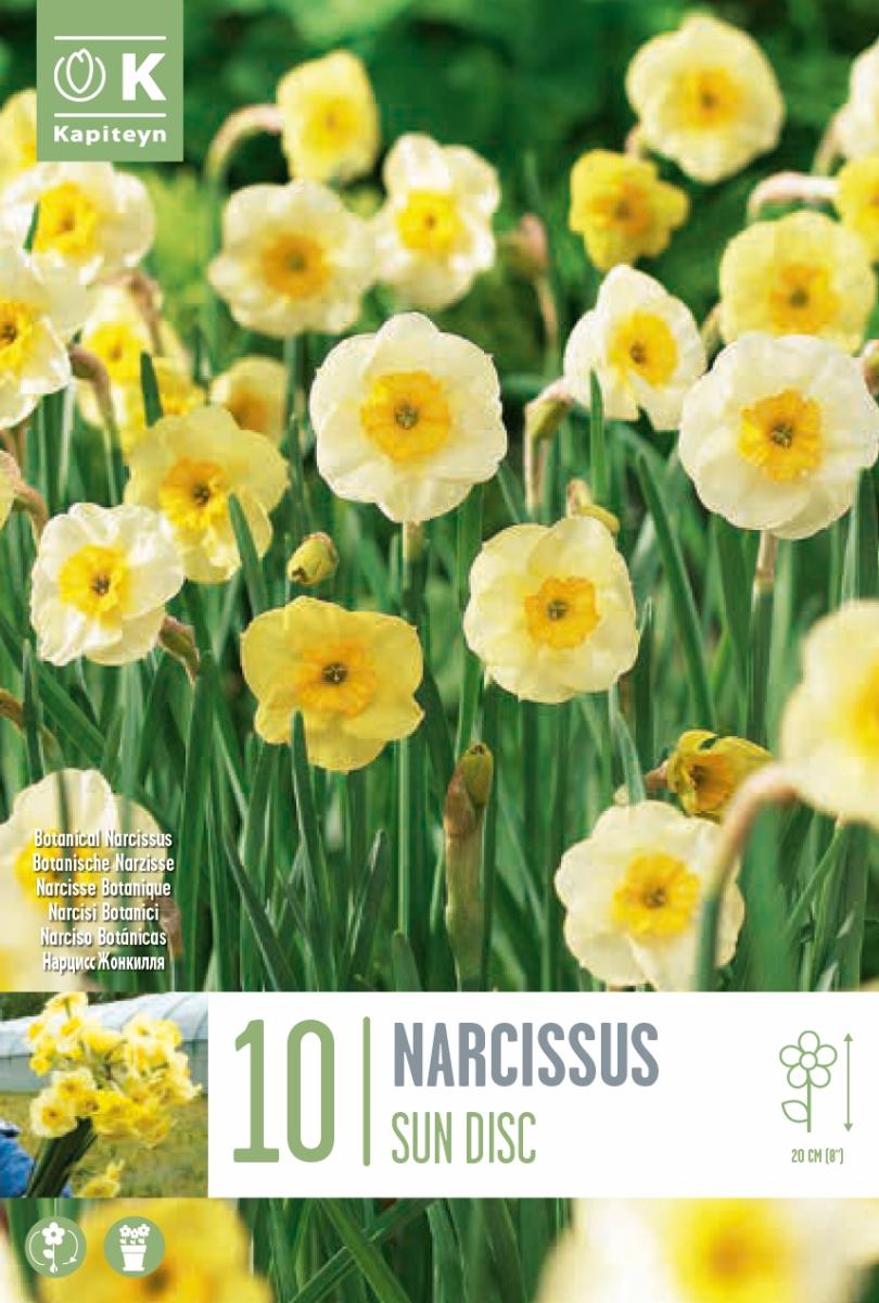 НАРЦИС BOTANICAL SUNDISC 10БР