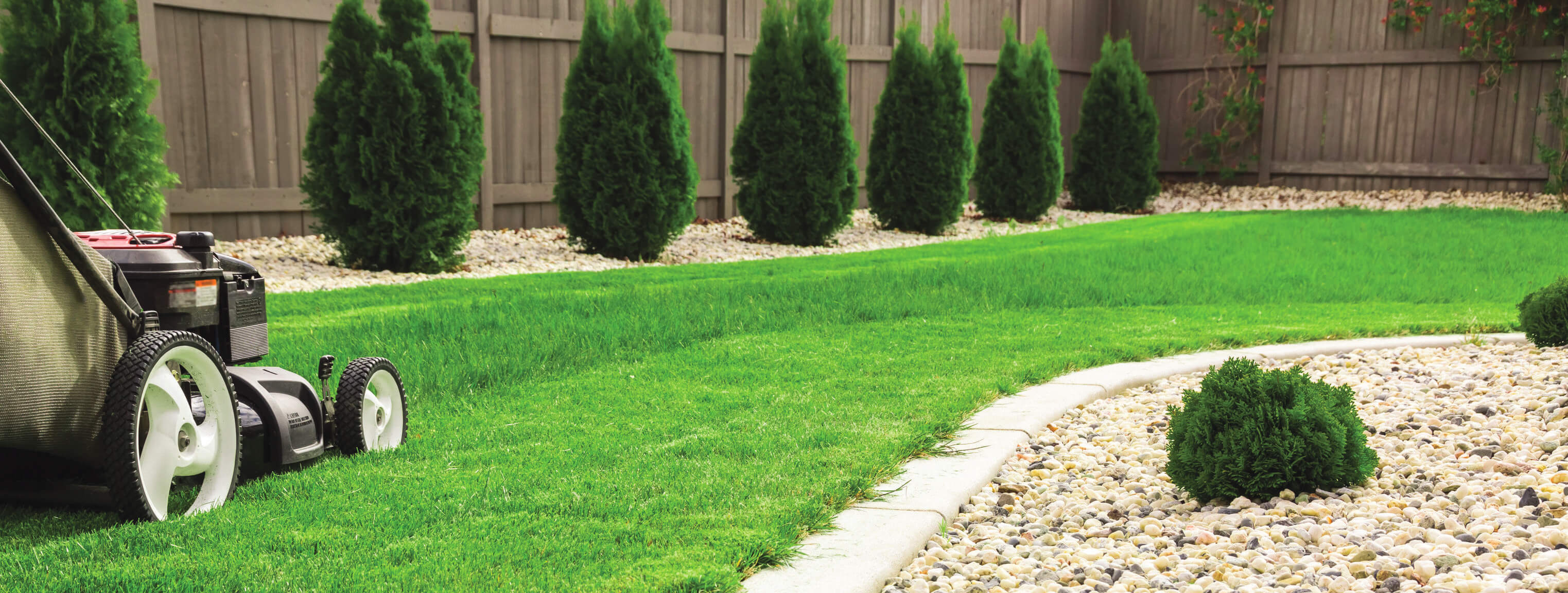 izberi-kosachka-banner-1.jpg izberi-kosachka-banner-1.jpg