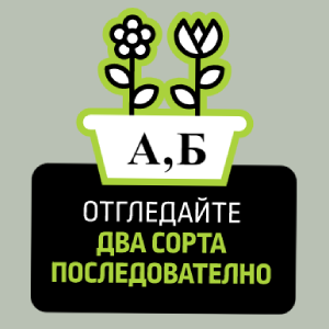 Градина на балкона